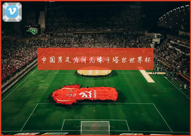 中国男足为何无缘卡塔尔世界杯