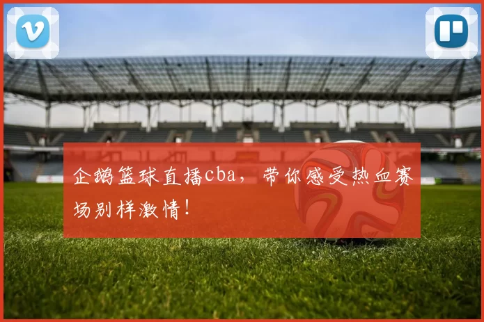 企鹅篮球直播cba，带你感受热血赛场别样激情！