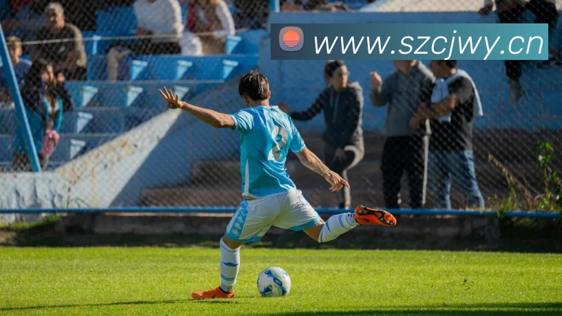 App Interface Preview